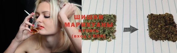 гашик Заволжье