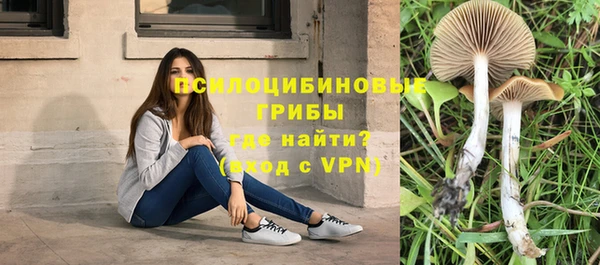 гашик Заволжье