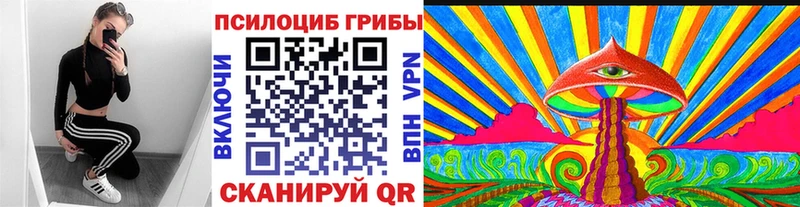 что такое наркотик  Сретенск  Галлюциногенные грибы Cubensis 